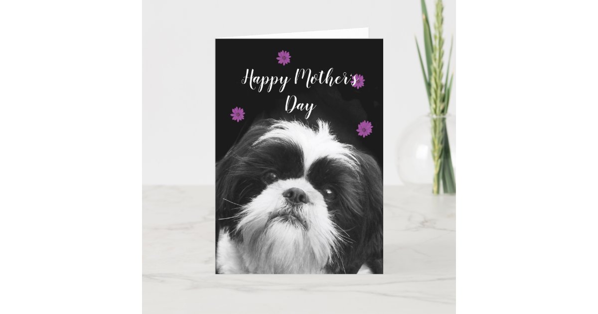 Happy Mother's Day Shih Tzu greeting card