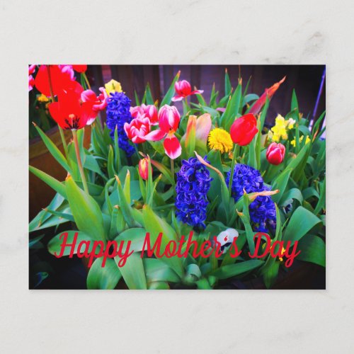 Happy Mothers Day Spring Flowers 3 Postcard