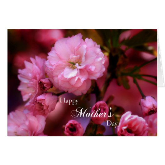 Happy Mothers Day Spring Pink Cherry Blossoms Cards (Front Horizontal)