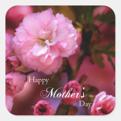 Happy Mothers Day Spring Pink Cherry Blossoms Square Sticker