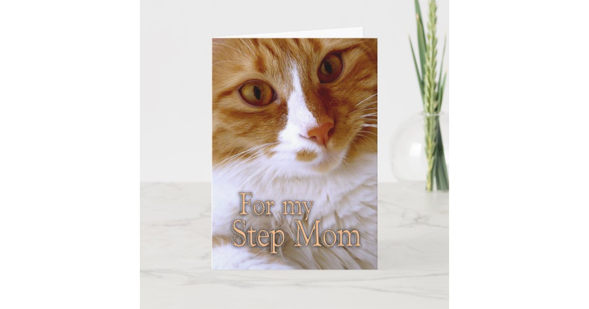 Happy Mother S Day Step Mom Sweet Cat Card Zazzle Com