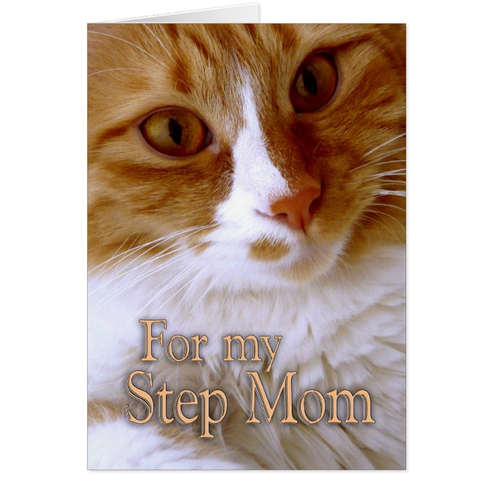 Happy Mother's Day   Step Mom Sweet Cat Greeting Card