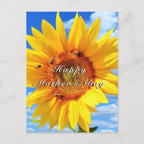 Happy Mothers Day  Sunflower and Bees on Blue Sky Postcard