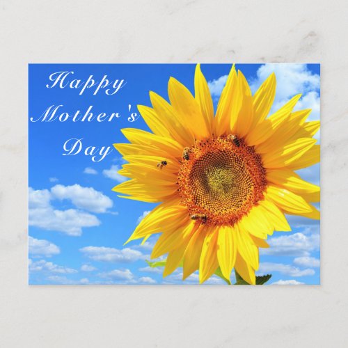Happy Mothers Day  Sunflower and Bees on Blue Sky Postcard