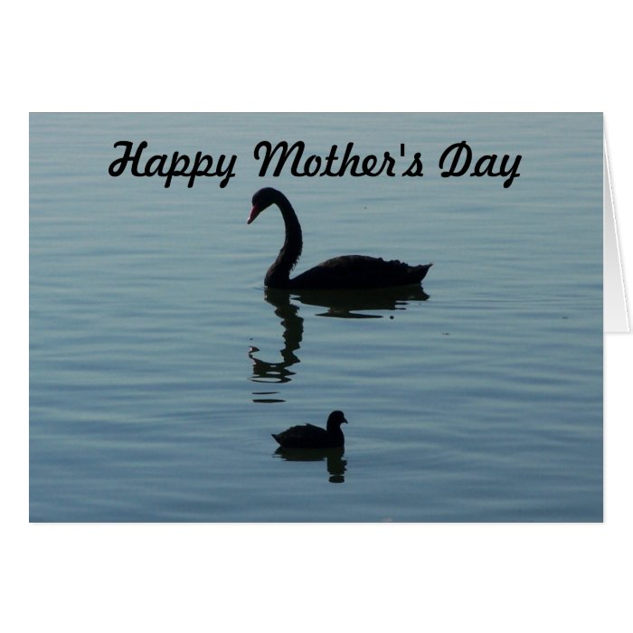Happy Mother's Day   Swan and baby Card