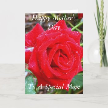 Happy Mother's Day  To A Special Mom Card by kkphoto1 at Zazzle