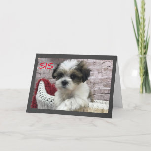 HAPPY *MOTHER'S DAY* TO A ****SPECIAL SISTER!**** CARD