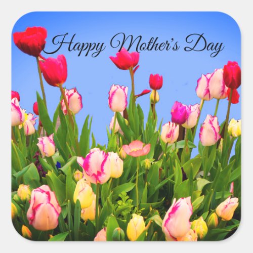 Happy Mothers Day Various Tulips 3 Stickers