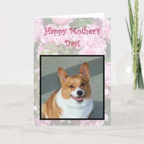 Happy Mothers Day Welsh Corgi greeting card