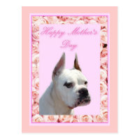 Happy Mother's Day White Boxer Postcard