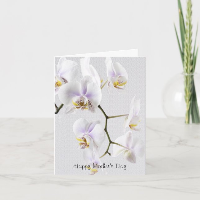 Happy Mother's Day - White Orchids Card (Front)