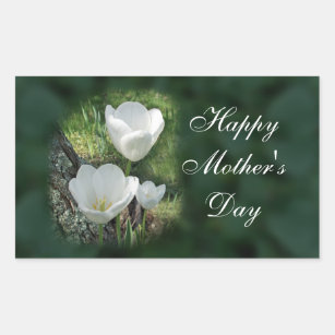Happy Mother's Day White Tulips Rectangular Sticker