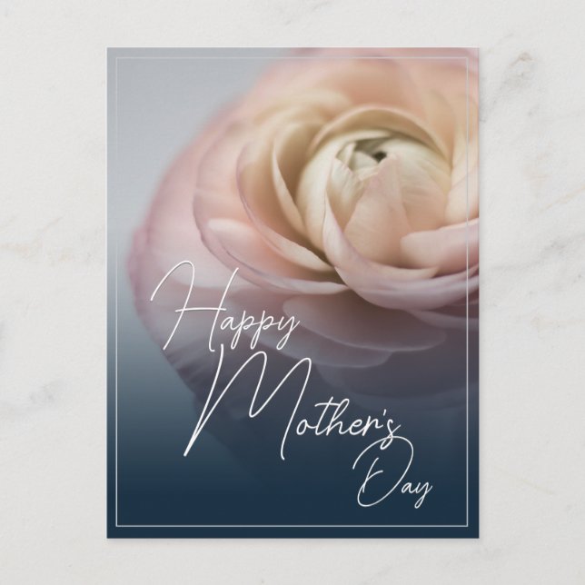 Happy Mother's Day with Big Pink Rose Holiday Postcard (Front)