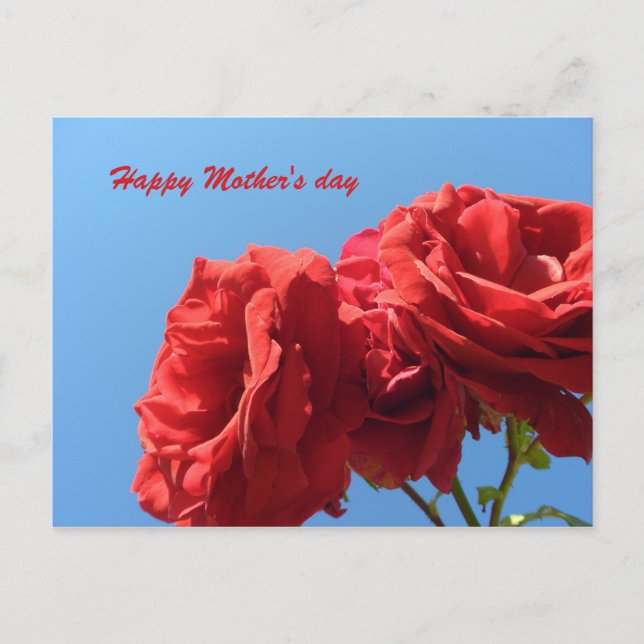 Happy Mother's Day with pink roses Postcard (Front)