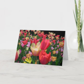 Happy Mother's Day With Tulips Card