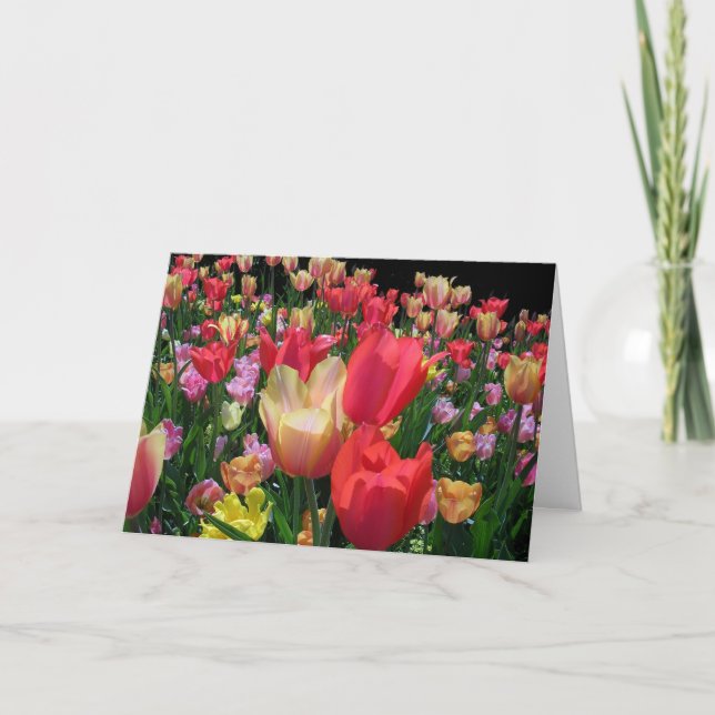 Happy Mother's Day With Tulips Card (Front)