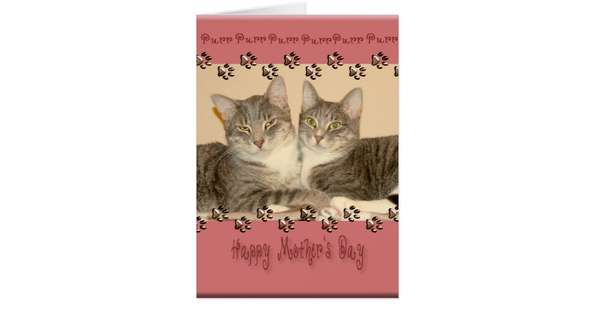 Happy Mother's Day with Two Cats Card | Zazzle.com