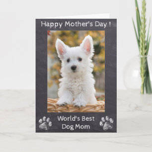 Happy Mothers Day - World's Best Dog Mom - Photo Card