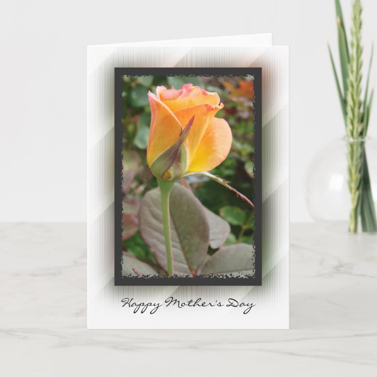 Happy Mother's Day Yellow Rose Card | Zazzle