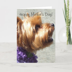 Happy mothers day store yorkie