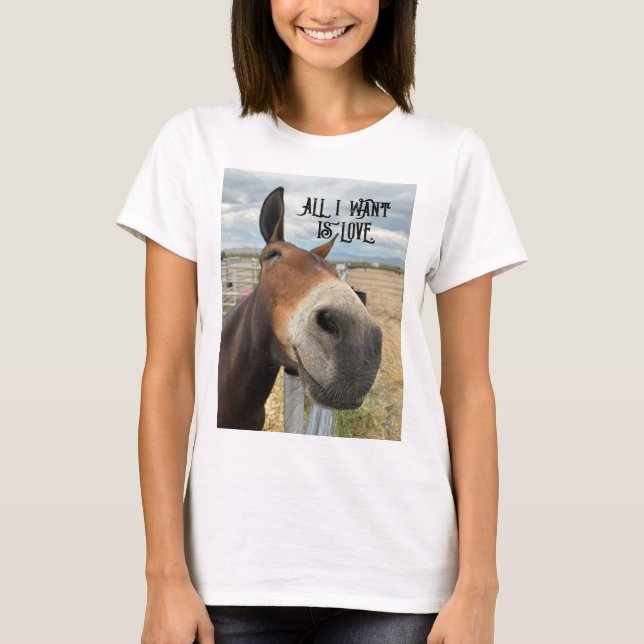 Happy mule has a big I WANT LOVE smile T-Shirt (Front)
