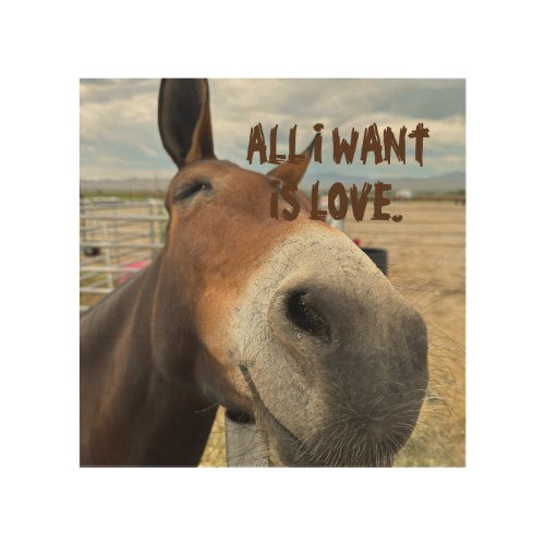 Happy mule has a big I WANT LOVE smile Wood Wall Art