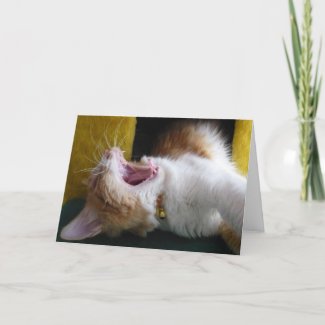 Happy (Nappy) Birthday - Yawning Kitty Card