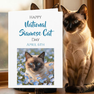 Happy National Siamese Cat Day   April 6th Card