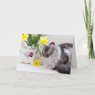 Happy National Siblings Day! Card