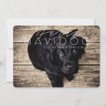 Happy Navidog | Holiday Photo by RedefinedDesigns at Zazzle