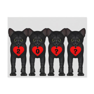 Happy New Year Black 2024 Kitten Postcard