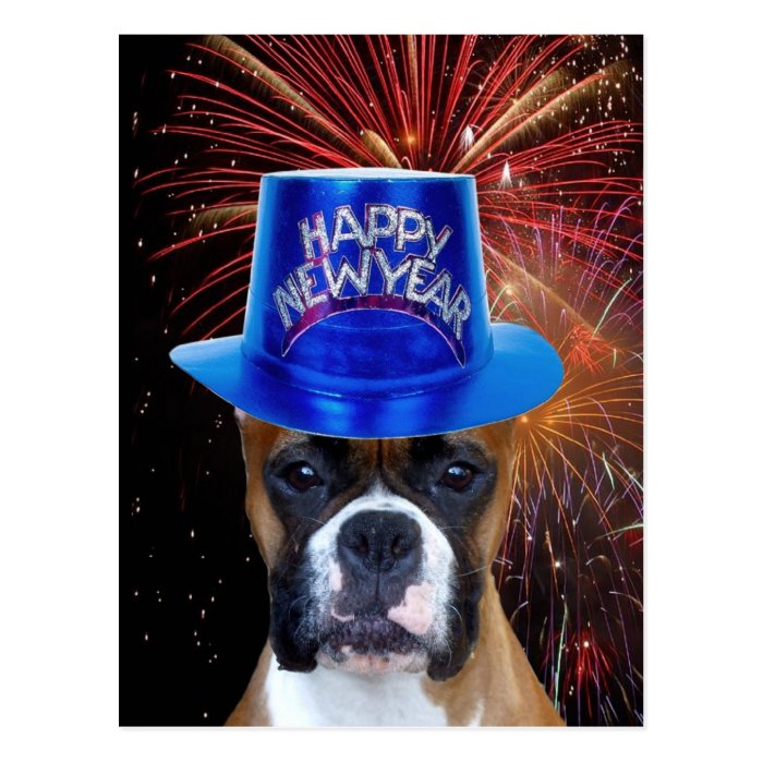 Happy New Year Boxer dog postcard