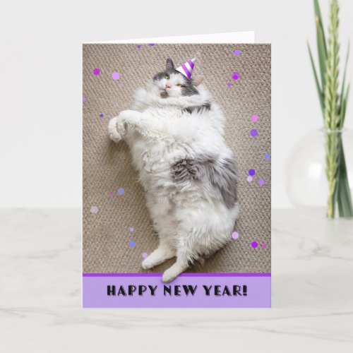 Happy New Year For Anyone Fat Cat Humor  Holiday Card