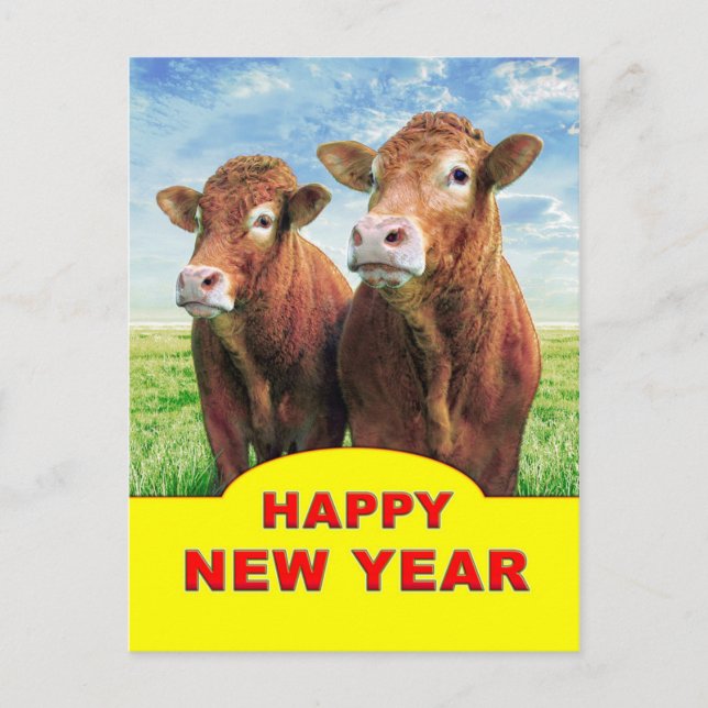 Happy New Year from the cow boys Postcard (Front)