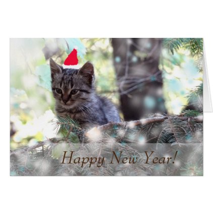 Happy New Year Greeting Card, Standard Kitten Card