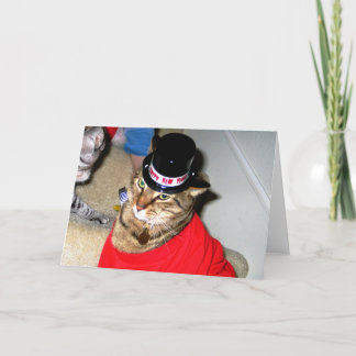 Happy New Year Kitty Holiday Card