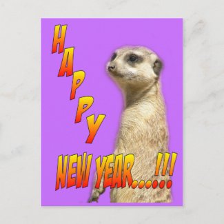 Happy New Year Meerkat Postcard