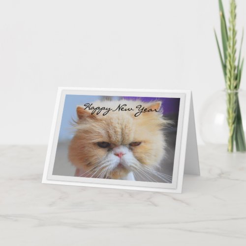 Happy New Year Persian Cat Humor Holiday Card