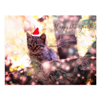 Happy New Year Postcard Kitten