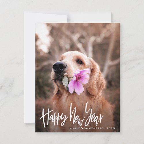 Happy New Year  Script Modern Dog Photo Holiday Card