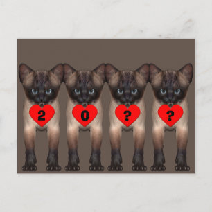 Happy New Year Siamese Kitten Postcard