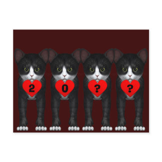 Happy New Year Tuxedo 2024 Postcard