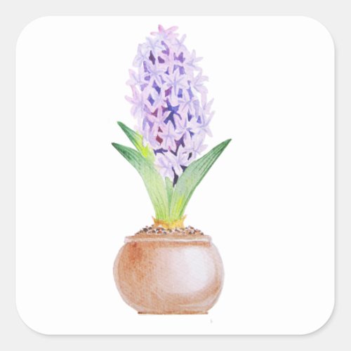 Happy Norooz Hyacinth Square Sticker