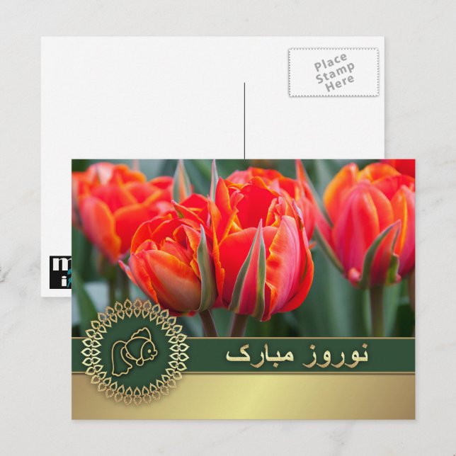 Happy Nowruz. Persian New Year  Holiday Postcard (Front/Back)