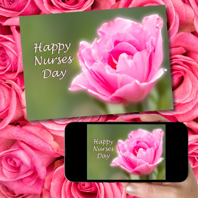 Happy Nurses Day Single Pink English Rose Card (Creator Uploaded)