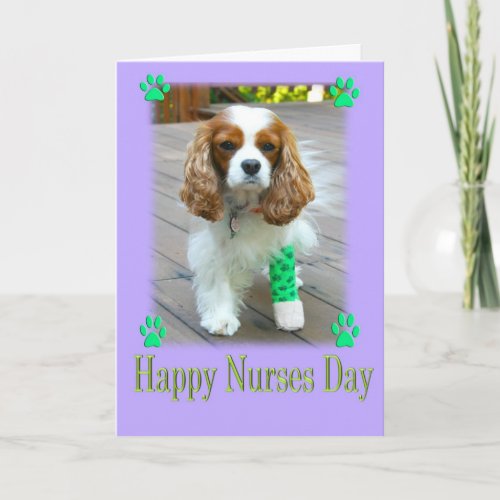 Happy Nurses Day With Spaniels Bandaged Foot Card