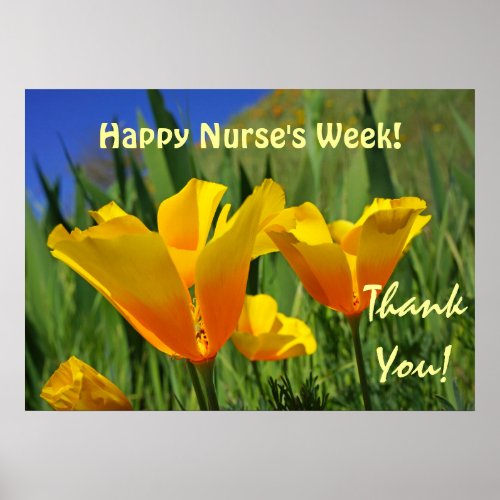 Happy Nurses Week art prints posters Thank you