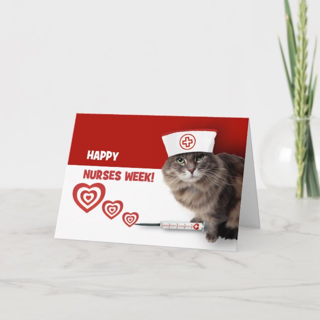 Happy Nurses Week. Funny Kitty  Letterpress Thank You Card (Front)