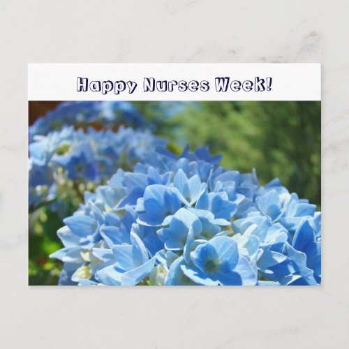 Happy Nurses Week postcards Blue Hydrangeas
