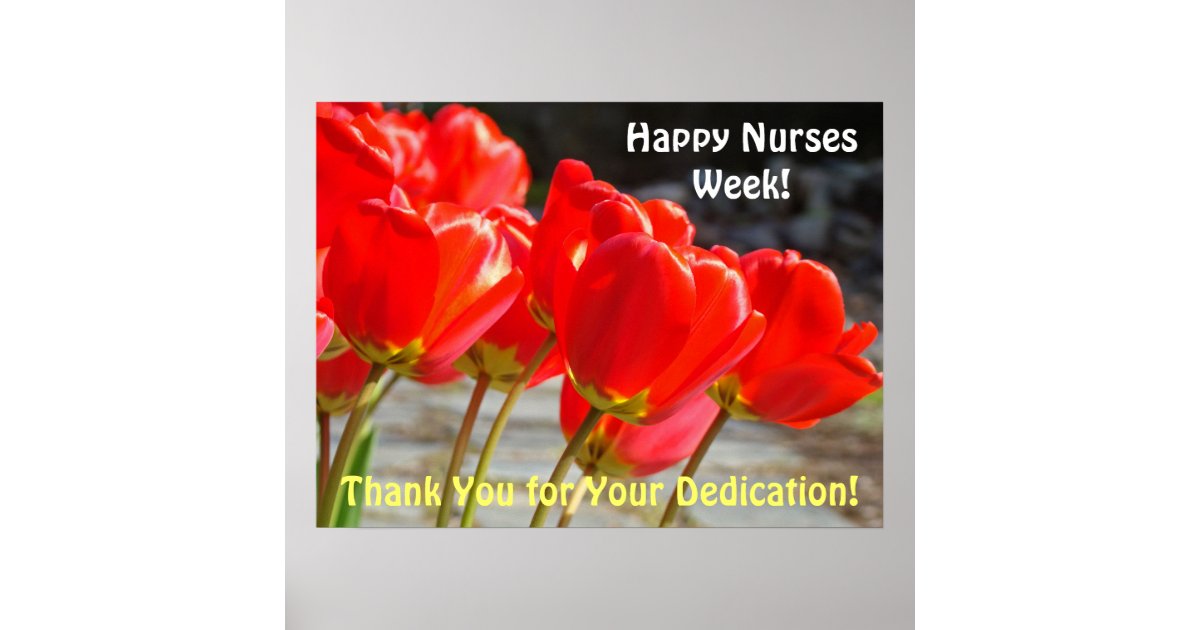 Happy Nurses Week posters Red Tulips Thank You | Zazzle.com